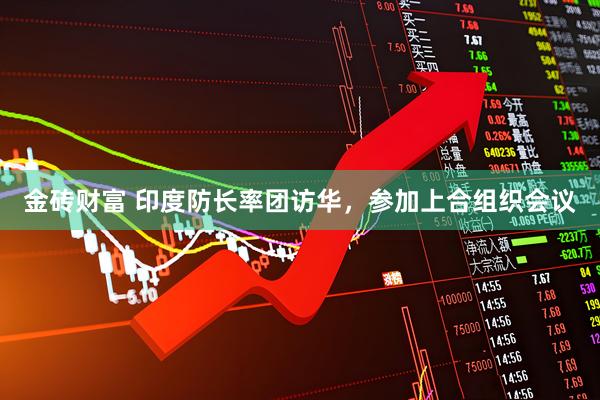 金砖财富 印度防长率团访华，参加上合组织会议