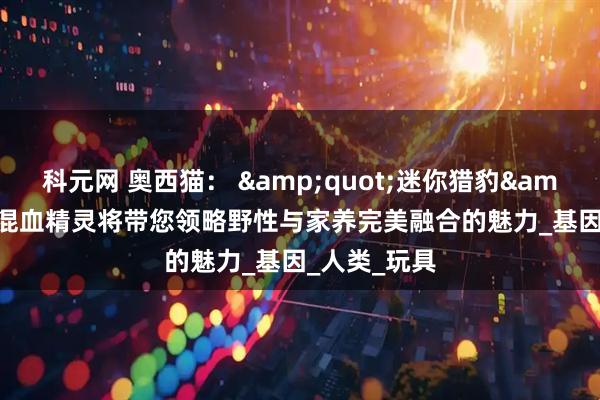 科元网 奥西猫： &quot;迷你猎豹&quot;的混血精灵将带您领略野性与家养完美融合的魅力_基因_人类_玩具