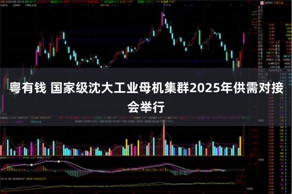 粤有钱 国家级沈大工业母机集群2025年供需对接会举行