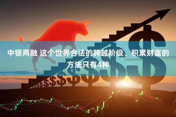 中银两融 这个世界合法的跨越阶级、积累财富的方法只有4种